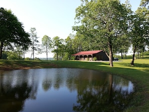 Deer frequent the pond by the farmhouse.