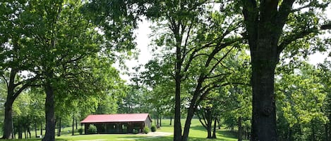 Sky Hawk Ridge is a nature lover's paradise.