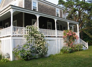 Side porch with Hammock