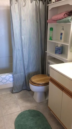 Master bathroom.