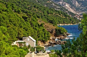 Secluded waterfront getaway perfect for couples and families with children