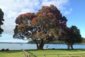 Terrenos do alojamento