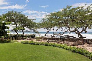 Beautiful Beachfront House