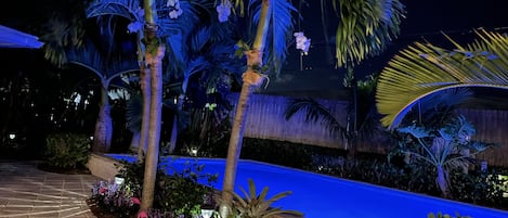 Gorgeous Nighttime View of Heated Pool, Designer Tropical Landscape and Lighting