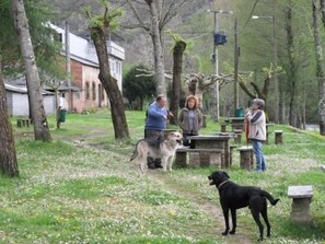 Animaux de compagnie acceptés