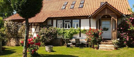 Unser Ferienhaus im Juni mit der Rosenpracht