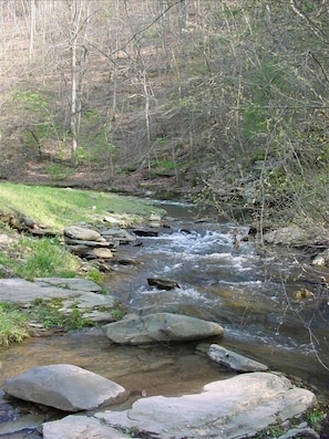 Sugar Creek, just steps from the sceened porch