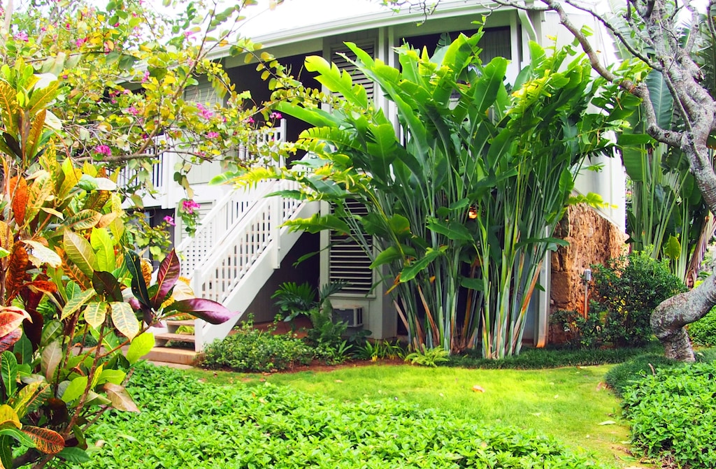 Photo of outside of unit showing lush tropical plants