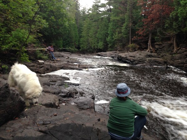 Trout Fishing on the river