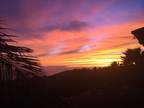 Another magical evening on the lanai!