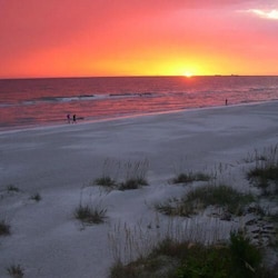 You'll never want to leave!