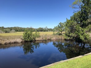 View from the living room of the pond and marsh in the backyard. 