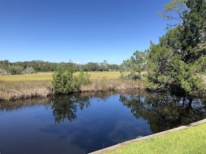 View from the living room of the pond and marsh in the backyard.