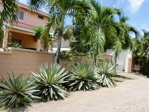 front road view of villa and palm trees, close to shopping and attractions