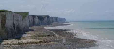 Les falaises du Bois de Cise et le bord de mer à 250m