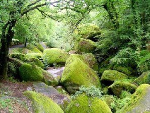 Overnatningsstedets område