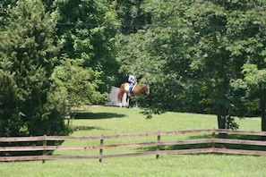Equestrian setting