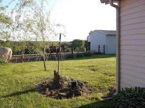 View of the horses from the back of the house.  