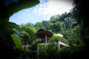 Set in the jungle, only 300 meters from the beach