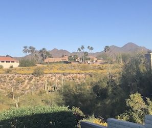 Stunning poolside views of McDowell mountain range.