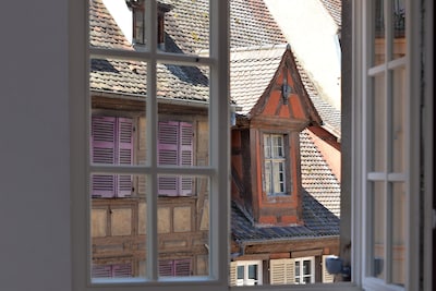 Appartement haut de gamme au coeur du centre historique de Colmar