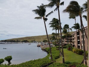 View up to the small boat harbor up the street where you can take boat rides 