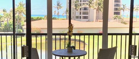 Spectacular view of the changing shades of ocean blue from our private patio