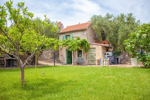 Garden, Outdoor