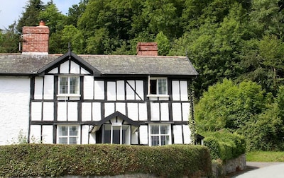 250 year old cottage with Oak Floors/Staircase in Montgomery, Wales. Sleeps 4