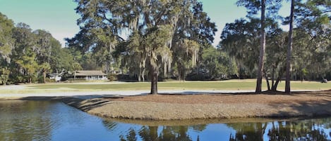 Lagoon & Golf View