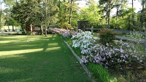 Front yard in spring.