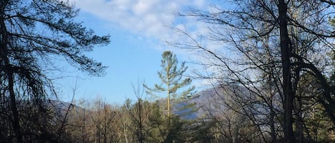 Terrain de l’hébergement 