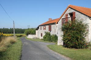 Exteriör