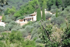 Vue aérienne