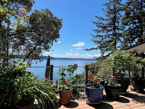 Upper deck in spring