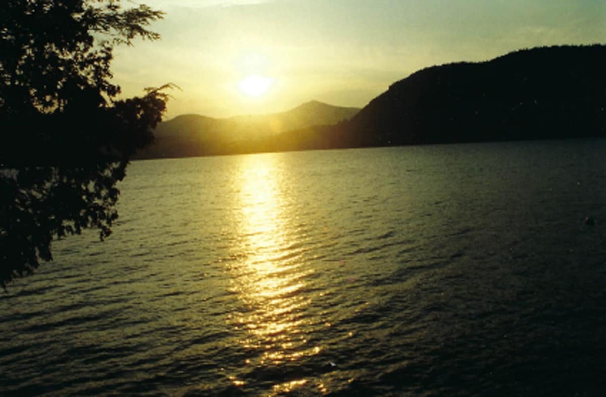 Main Image