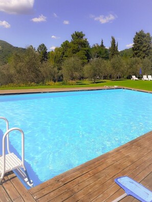the swimming pool 14x 7mts