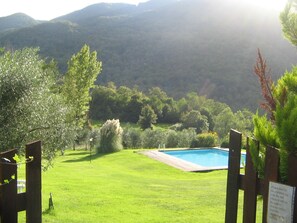 the pool
