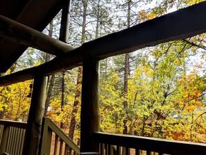October leaves are beautiful!