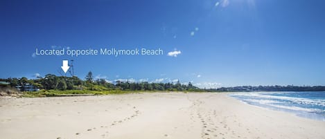 Mollymook Beach