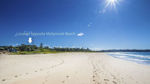 Mollymook Beach