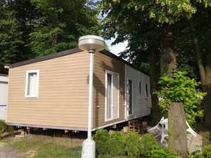 Plante, Bâtiment, Propriété, Fenêtre, Arbre, Maison, Bois, Roue, Herbe
