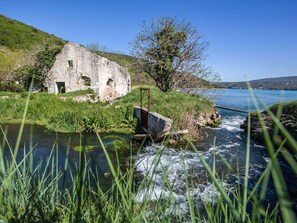 Gewässer, Wasser, Natürliche Landschaft, Natur, Vegetation, Grün, Gras, Küste, Meer, Bank