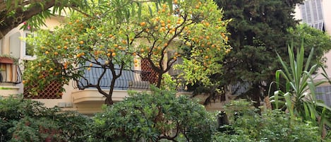 vue jardin vers accĂšs Ă l'appartement (Sud)