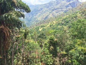 Terrain de l’hébergement 