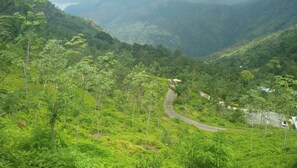 Terrain de l’hébergement 