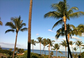 View from lanai of Kamaole Beach II directly across the street from condo!