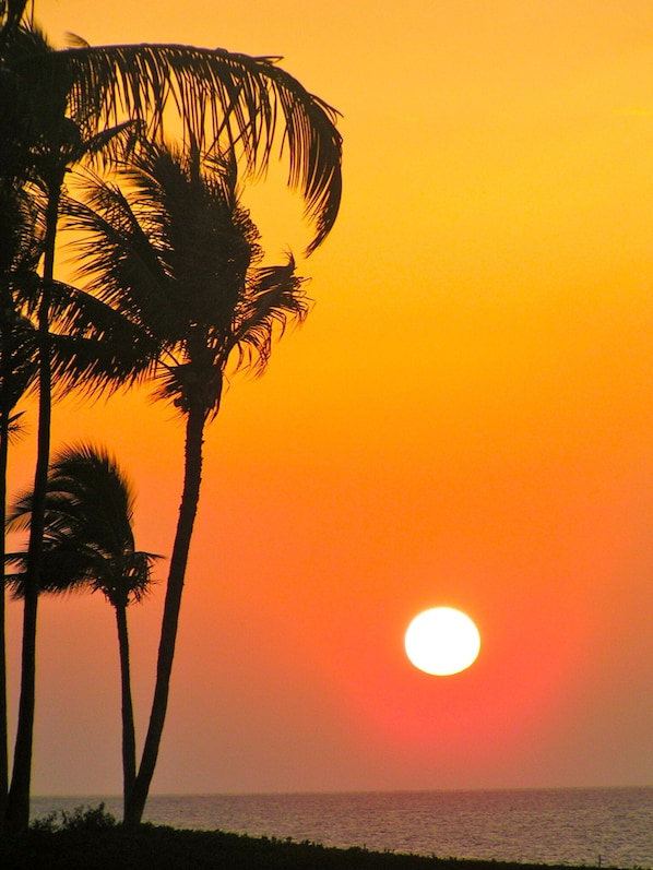 Amazing Maui Sunset taken across the street from Condo at Kamaole Beach II!