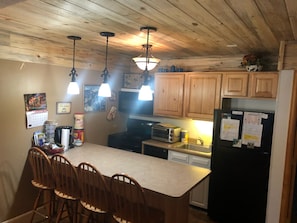 Newly remodeled kitchen with Colorado’s Pine beetle wood!