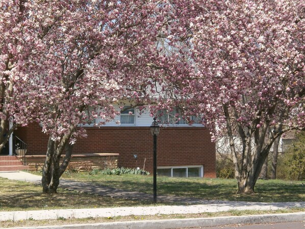 Apartment windows on lower rt corner of house.
Additional windows on East side.